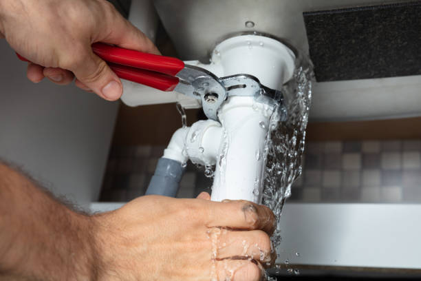 Best Basement water damage restoration  in Zephyrhills South, FL