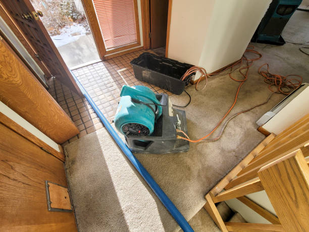 Best Sewage cleanup and water damage restoration  in Zephyrhills South, FL