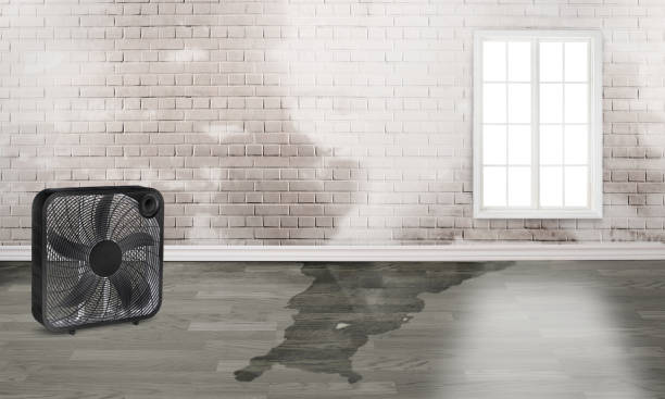 Best Commercial water damage restoration  in Zephyrhills South, FL