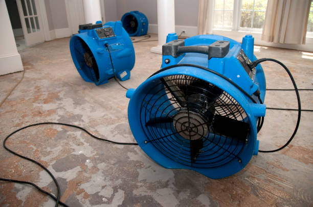 Best 24/7 water damage repair  in Zephyrhills South, FL