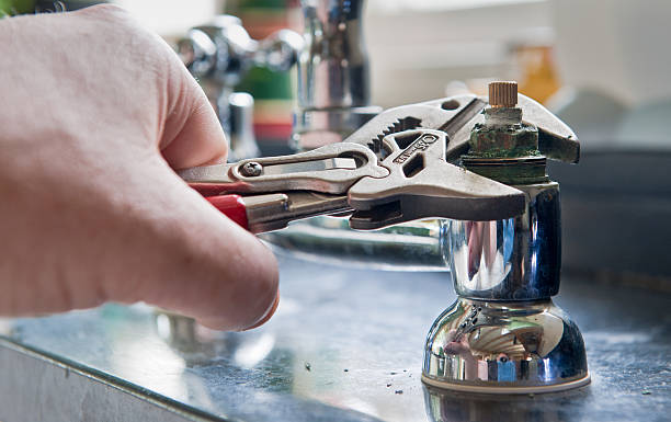 Best Flood damage cleanup  in Zephyrhills South, FL