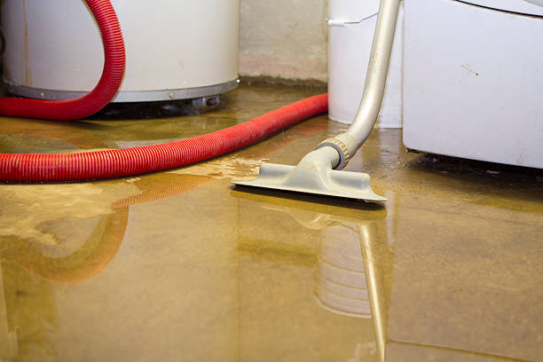 Best Water damage restoration near me  in Zephyrhills South, FL
