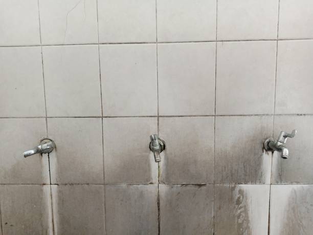 Best Water damage contractors near me  in Zephyrhills South, FL