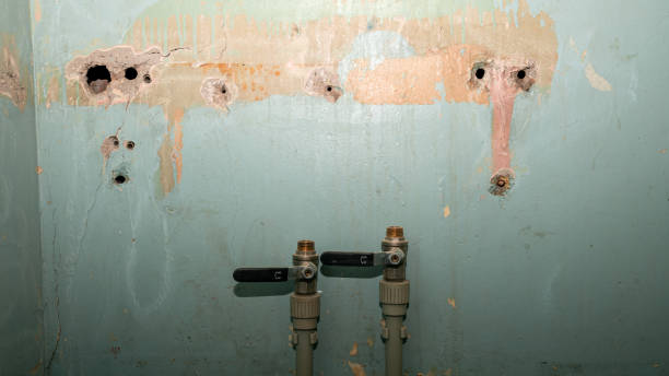Best Water damage restoration near me  in Zephyrhills South, FL
