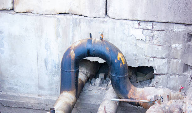 Best Water damage restoration process  in Zephyrhills South, FL