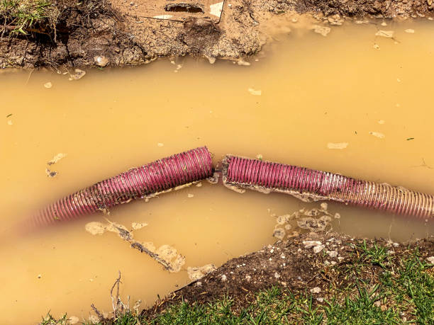 Best Residential water damage restoration  in Zephyrhills South, FL