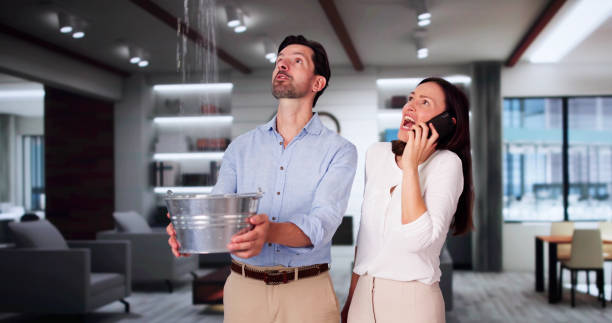 Best Emergency water damage restoration  in Zephyrhills South, FL