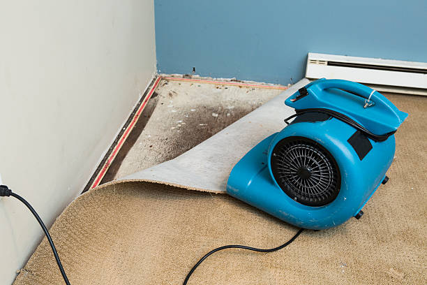 Best Ceiling water damage repair  in Zephyrhills South, FL